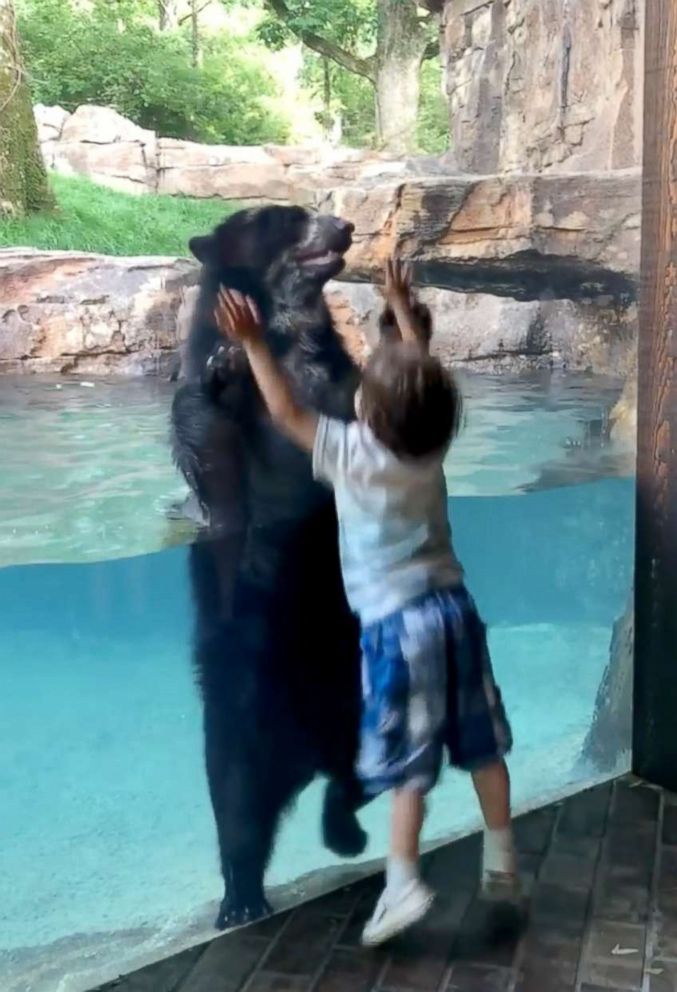 Bear Imitating Kid