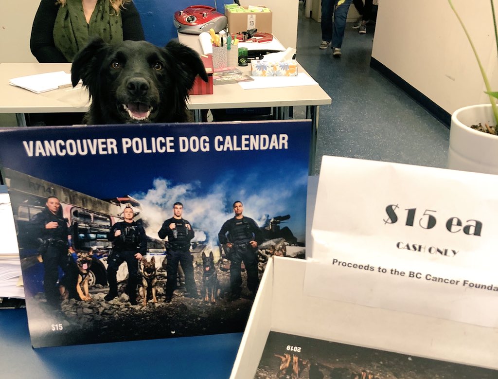 You Don’t Have To Live In Vancouver To Enjoy The City’s Police Dog