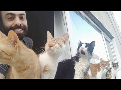 Playing Piano With Rescued Cats Never Gets Old