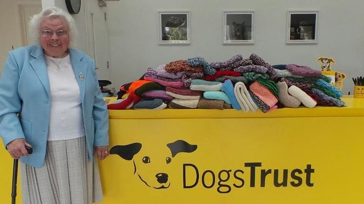 89 Year Old Woman Knits 450 Blankets And Coats For Shelter Dogs