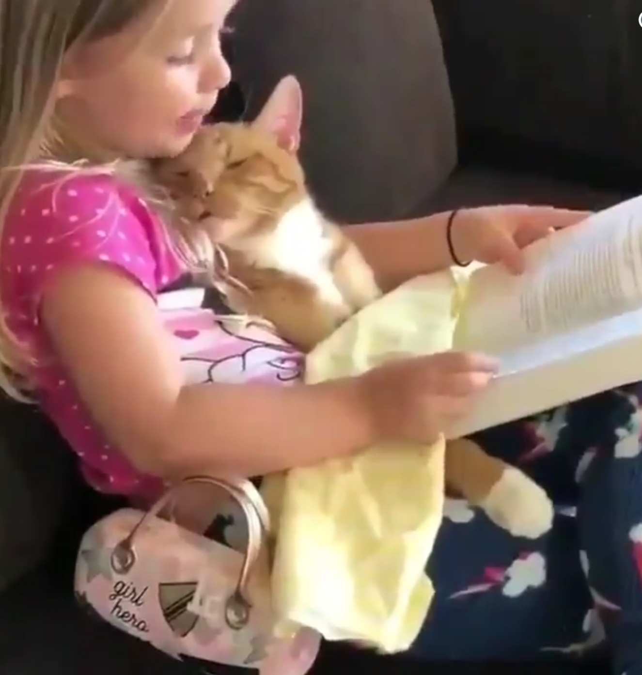 Girl Reading To Her Cat Will Make You Smile