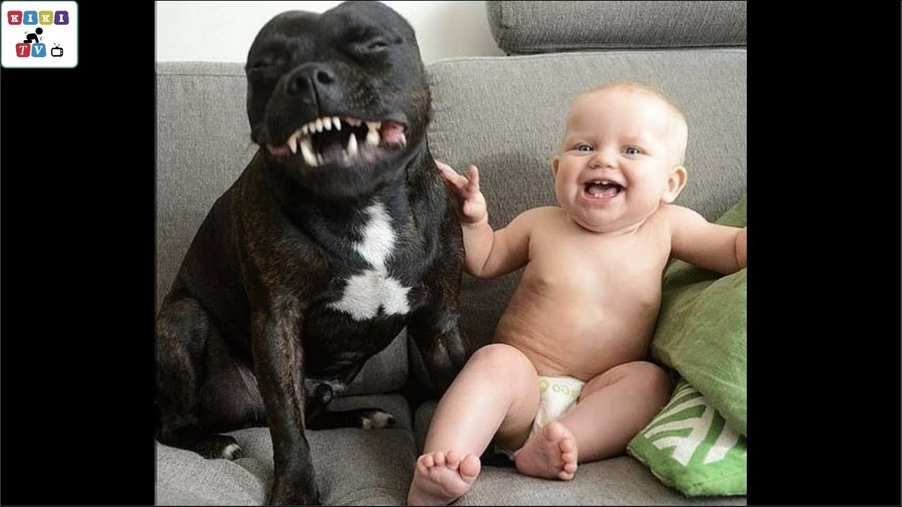 These Puppies And Babies Are Best Friends For Life