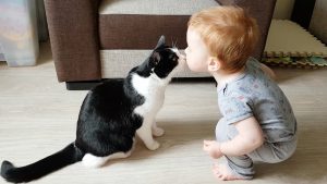 Gentle Baby And Cat Are Best Friends