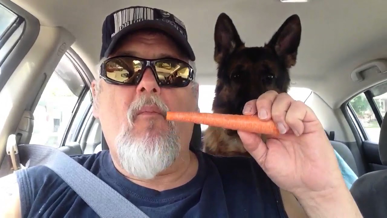 Sometimes A Dog Needs A Carrot
