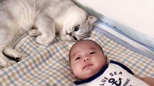 Cat Loves His New Baby Human