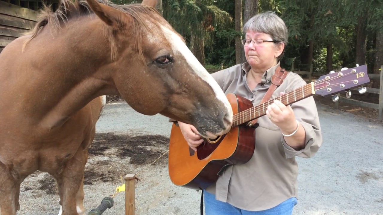Horse Plays Guitar With Human