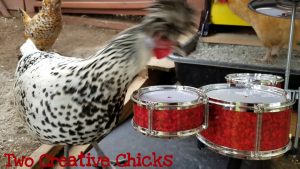 clipsy chicken drums