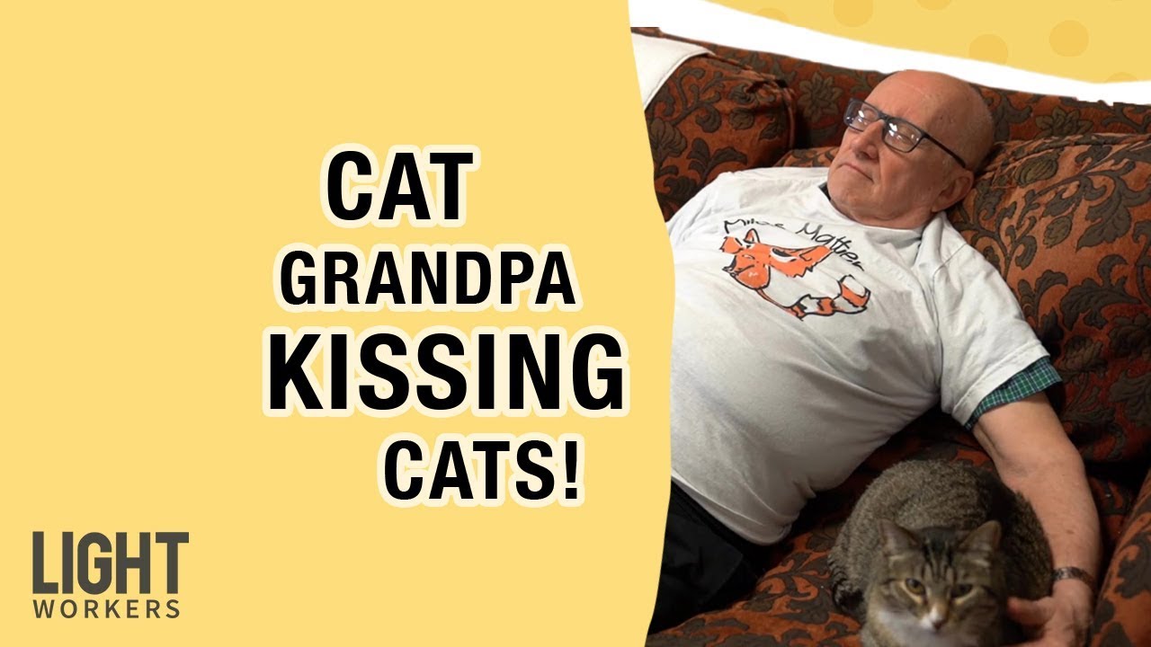 Cat Grandpa Naps With Cats