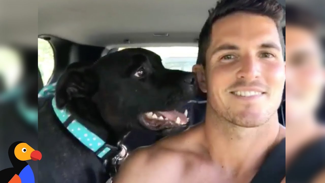 Dog That Sounds Like A Seal Teaches His Human How To Love