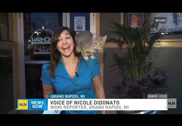 Cat Climbs Onto Reporter During Live Broadcast