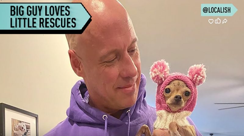Former Bodybuilder Opens Rescue For Chihuahuas