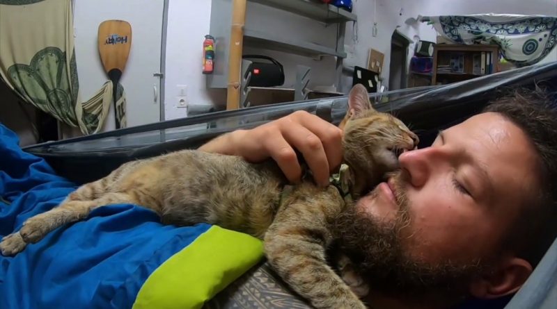 Cat And Her Human Take A Nap