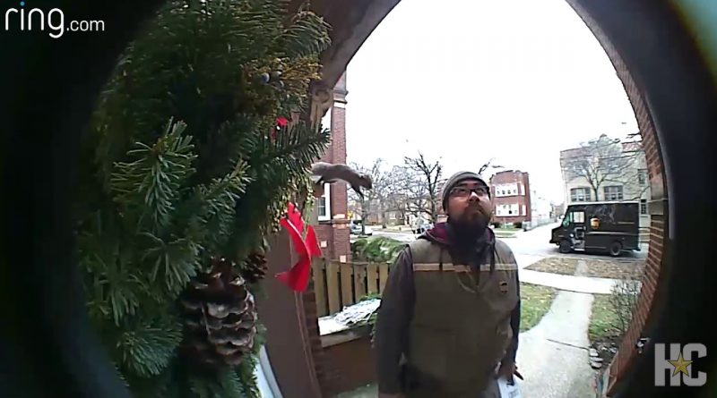 Squirrel Jumps On UPS Driver To Say, "Hi."