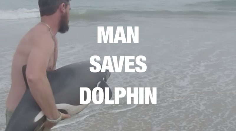 Man Saves Baby Dolphin 🐬