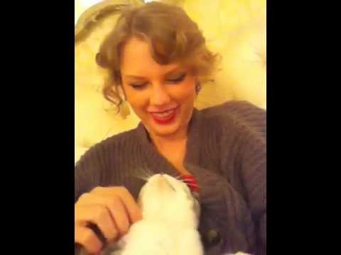 Taylor Swift Being Trained By Her Cat