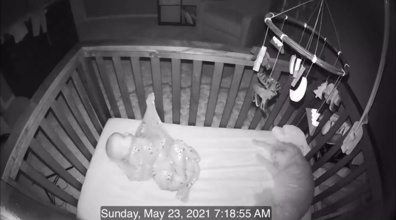 Cat Sleeps With Baby In Crib And Plays With Baby Mobile