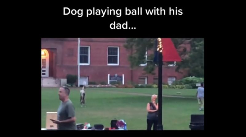 Dog Playing Soccer With Their Human Daddy