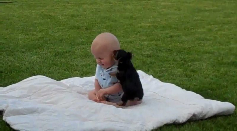 Baby And Cuddly Puppy Playing Together ❤ 💕