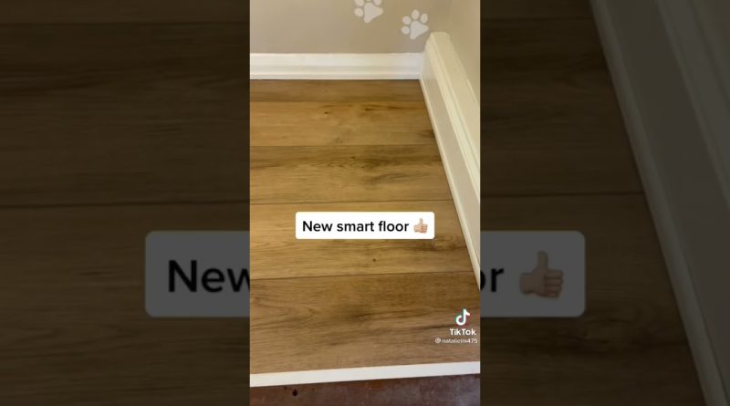 Cooper The Dog Gets His Own Room