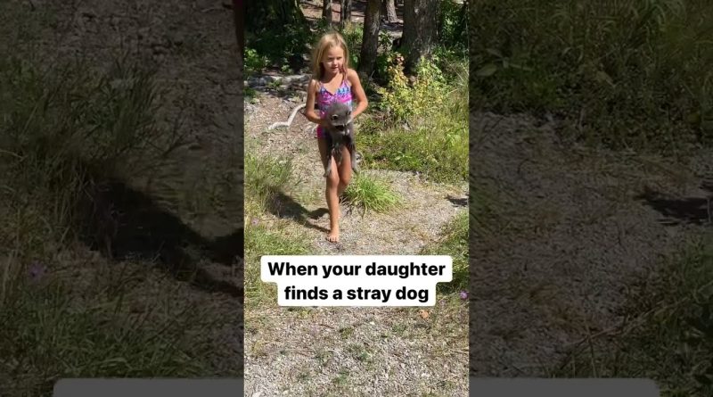 When Your Daughter Finds A Stray Dog 😆