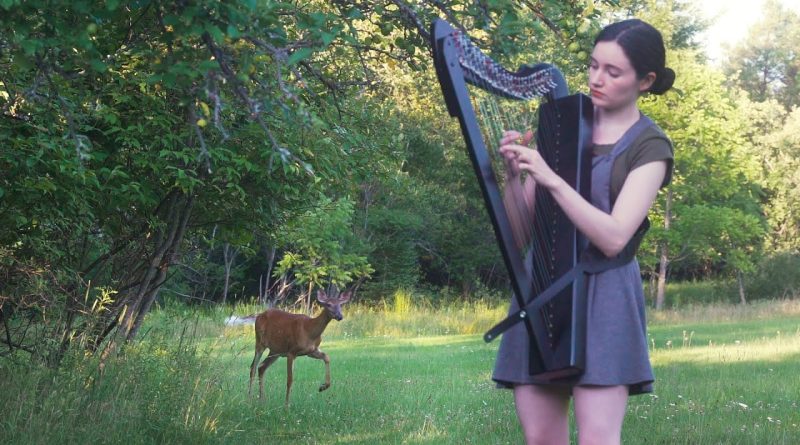 Deer Enjoys Harp Session 🦌 🎶