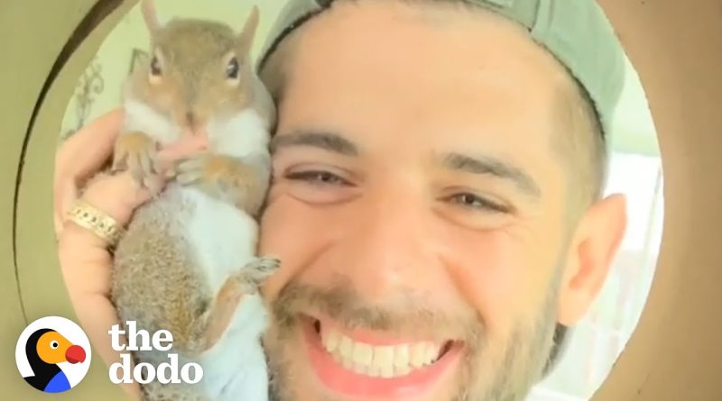 Rescued Squirrel Wants To Stay With Her Humans