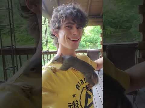 Ophelia The Wild Squirrel Is Super Friendly