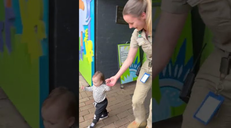 Little Girl Uses Her Cuteness To Sneak Past Zoo Security 😆 🤣