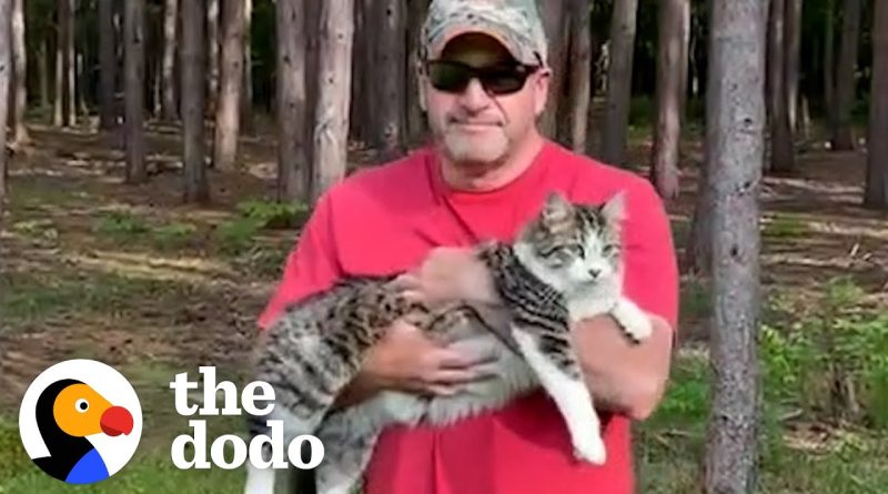 Leo The Cat Turns His Dog Person Human Dad Into A Cat Person