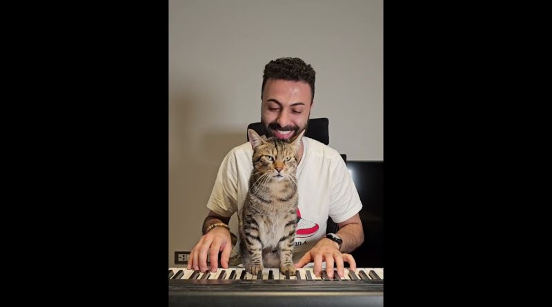 The Cat Pianist Helps Human Play Piano Again!